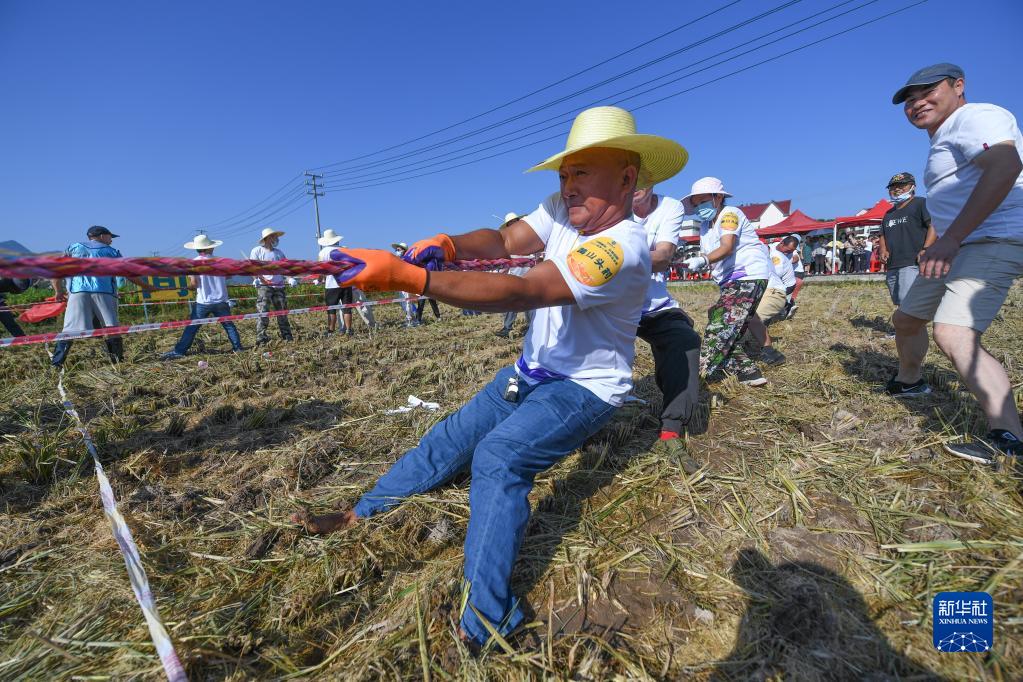 Zhejiang, giochi divertenti nel campo di risaia