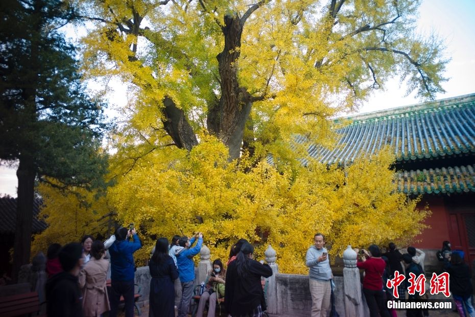 Beijing in autunno 