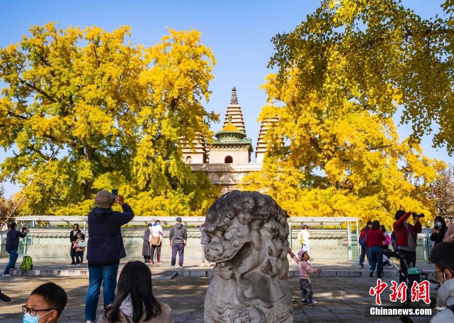 Beijing in autunno 