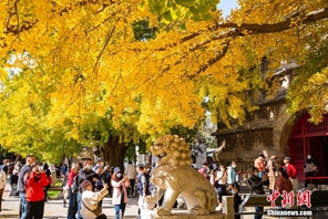 Beijing in autunno 