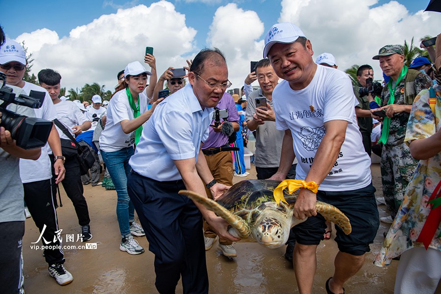 Hainan: reintroduzione di 9 tartarughe marine in natura