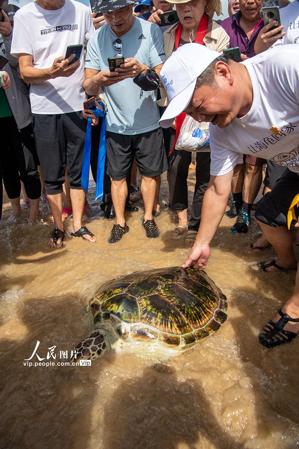 Hainan: reintroduzione di 9 tartarughe marine in natura