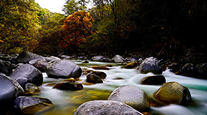 Huangbaiyuan, Shaanxi: il meraviglioso autunno di Qinling 