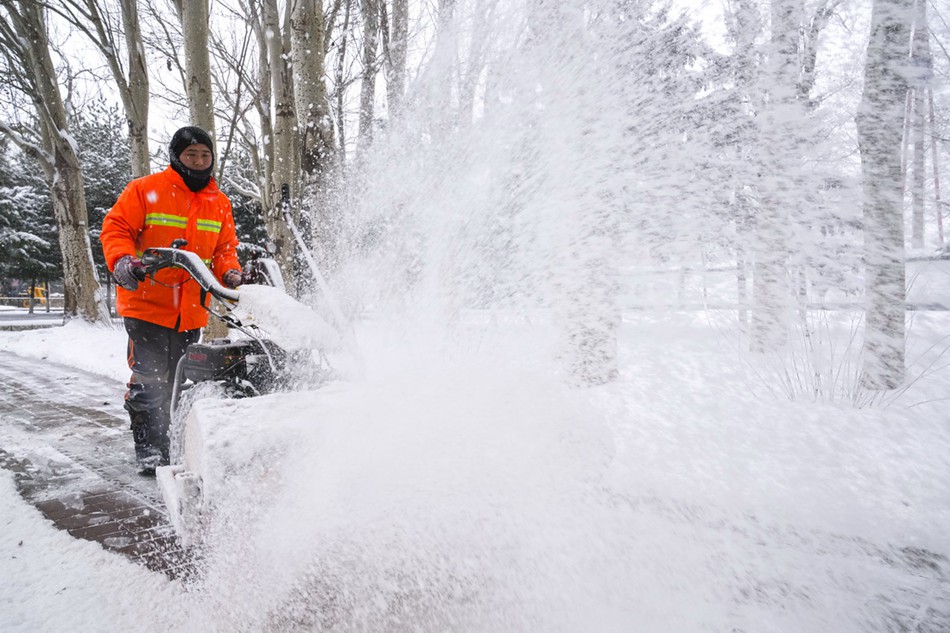 In guardia nella tempesta di neve