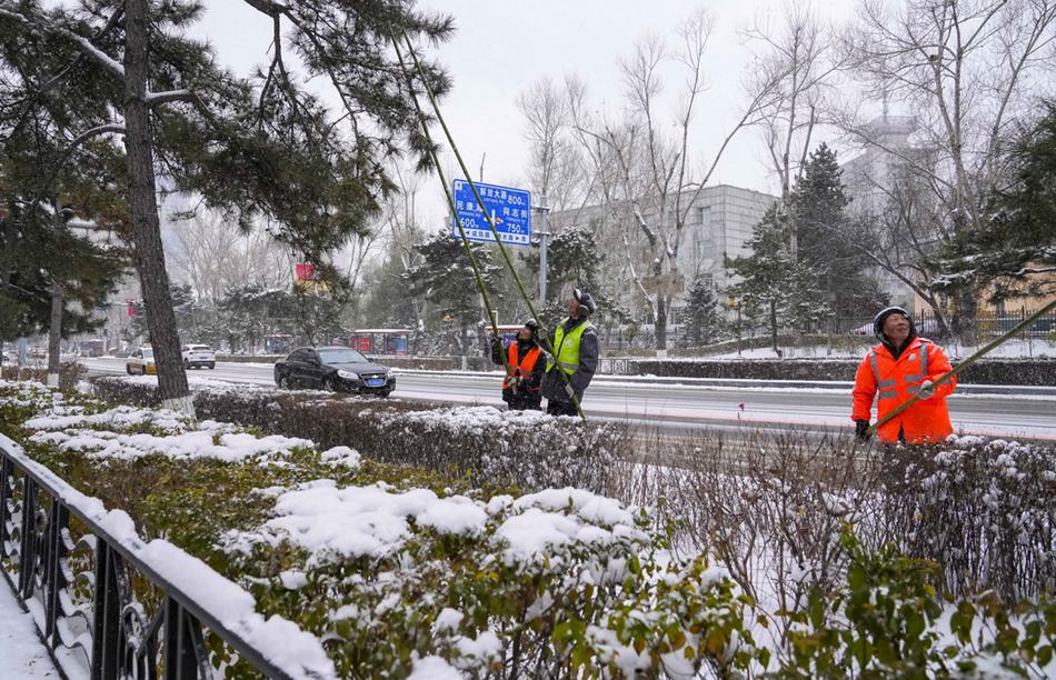 In guardia nella tempesta di neve