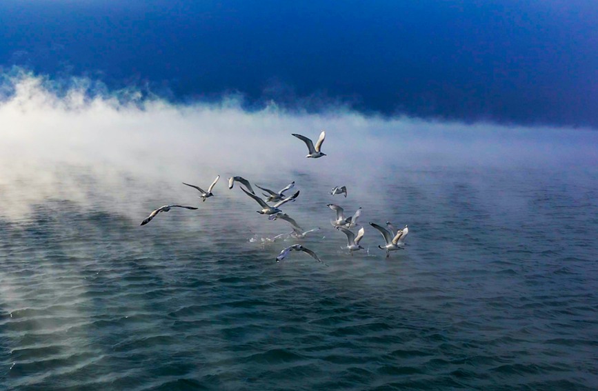 Poetico e pittoresco: nebbia e marea si incontrano sul lago Sayram dello Xinjiang 