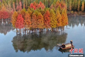 Jiangsu, spettacolare pittura naturale d'inverno di Xuyu