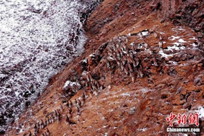 Pittoresco panorama invernale nelle montagne Qilian