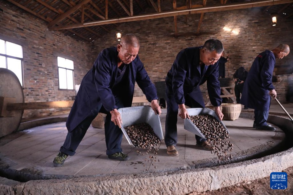 Antichi mestieri: estrazione dell'olio di tè in modo tradizionale