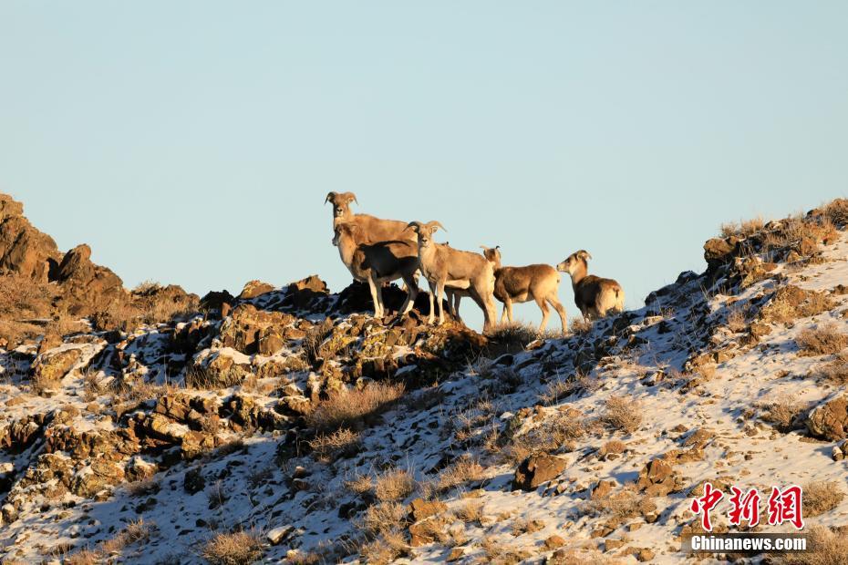 Xinjiang, Bozhou: scenario invernale nelle montagne Gangjige