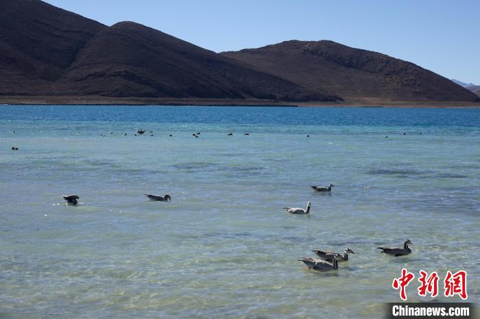 Inverno, il Lago Yamdrok è pittoresco 