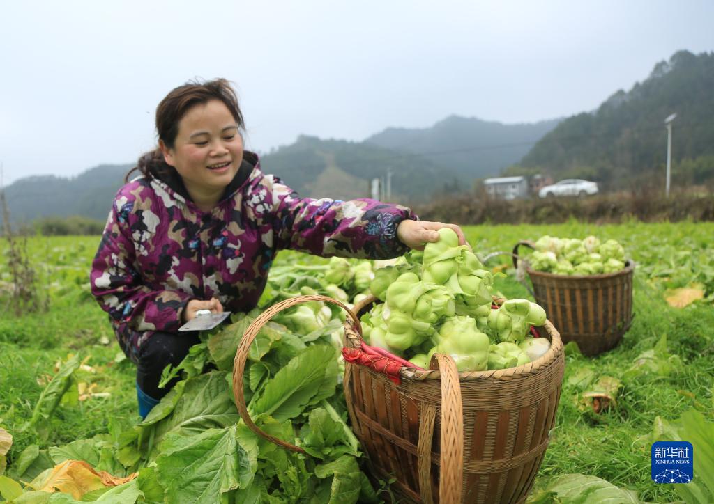 Guizhou: è tornata la primavera