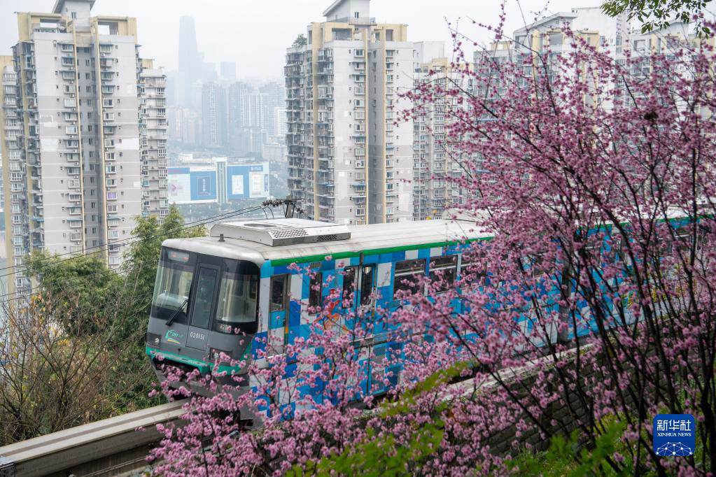 Chongqing, i treni di traffico orbitale passano attraverso i fiori