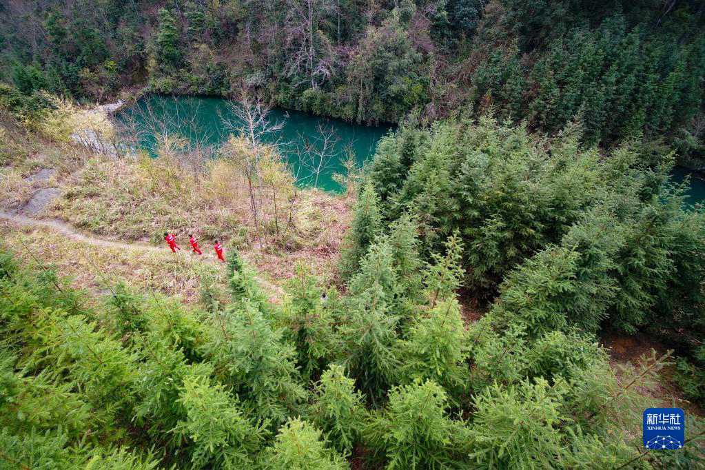 Guizhou, 62,12% il tasso di copertura forestale