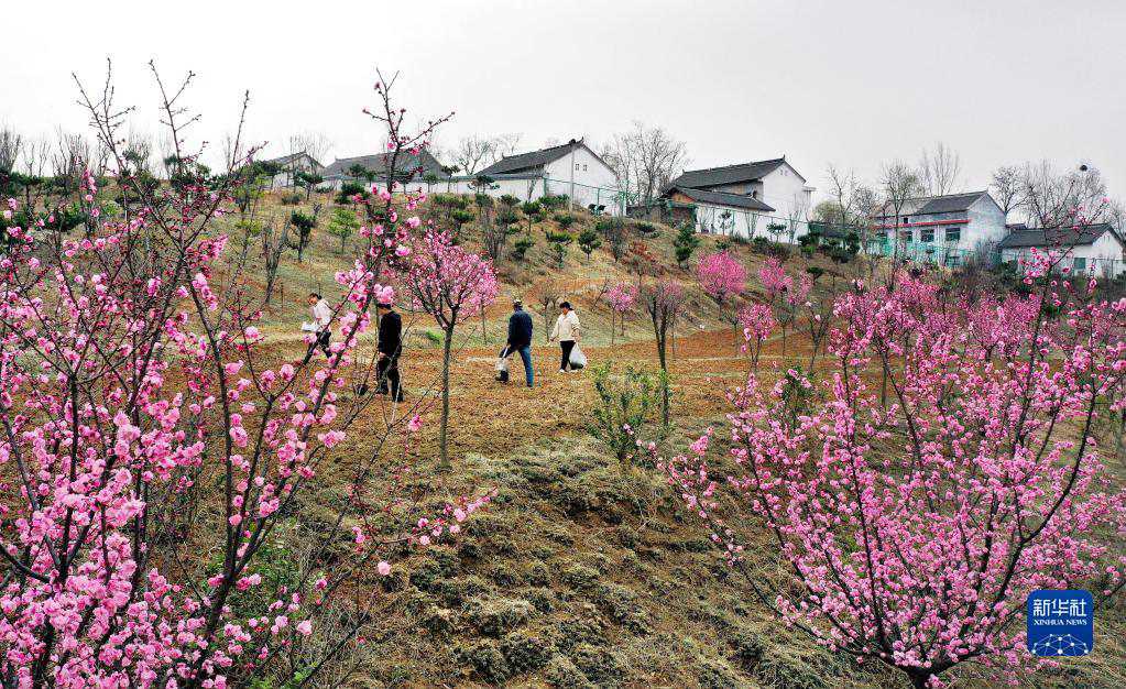 Luonan, Shaanxi: i villaggi cambiano aspetto grazie alle varie misure