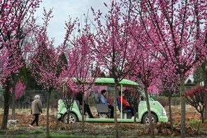 Luonan, Shaanxi: i villaggi cambiano aspetto grazie alle varie misure