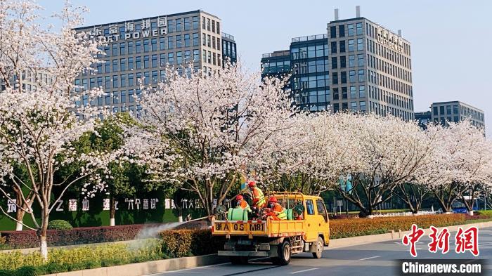 Hangzhou: cittadini si godono la primavera soleggiata