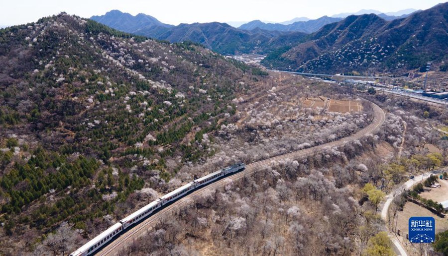 Beijing, si godono il mare dei fiori sul treno suburbano