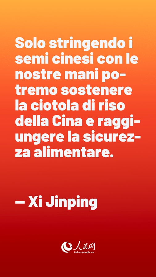 Xi Jinping: le sementi sono la chiave per la sicurezza alimentare del nostro Paese