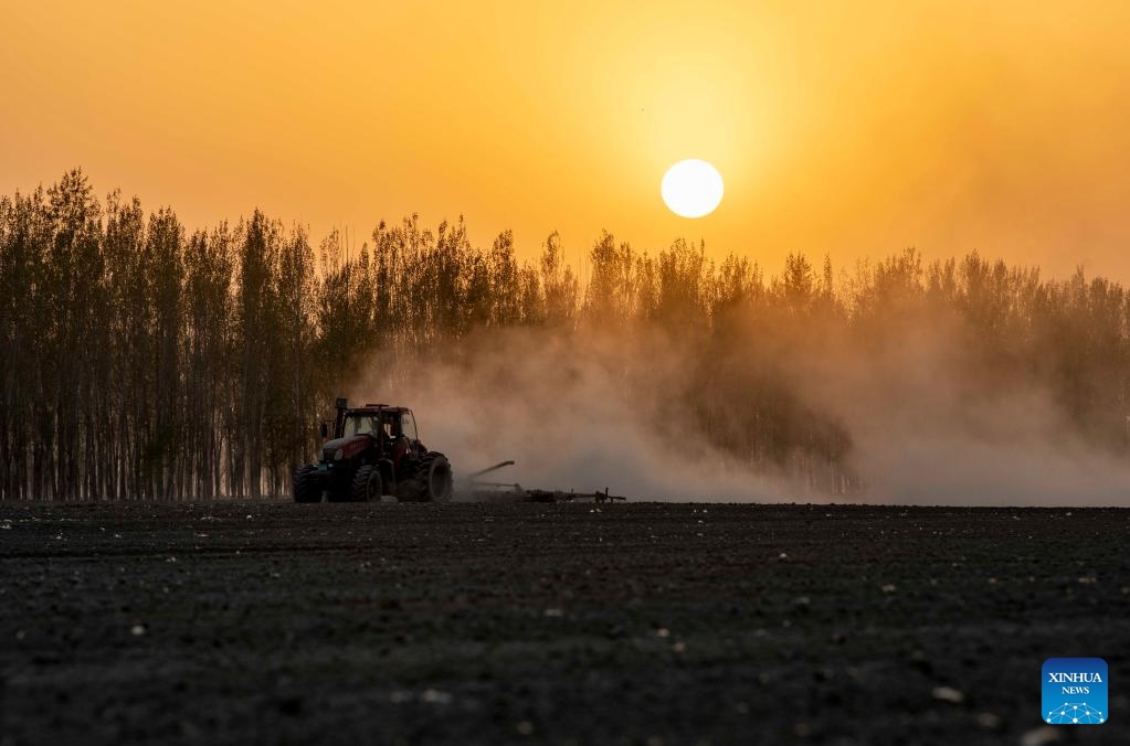 Xinjiang: la coltivazione del cotone in pieno svolgimento