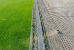 Xinjiang: la coltivazione del cotone in pieno svolgimento