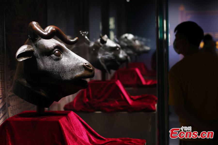 Museo di Nanjing: mostra speciale di teste animali dell'Antico Palazzo d'Estate 