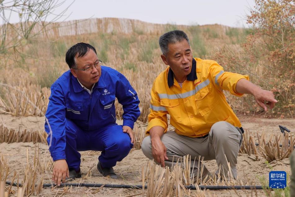 Xinjiang, Cina: corridoio verde antisabbia costruito lungo la ferrovia del deserto 