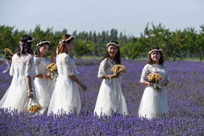 Xinjiang: la semina della lavanda promuove il turismo locale del villaggio Sigong