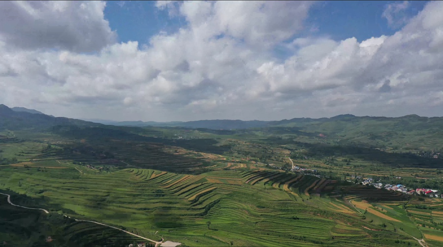 Ningxia, Cina: vegetazione lussureggiante fiorisce nella contea di Longde