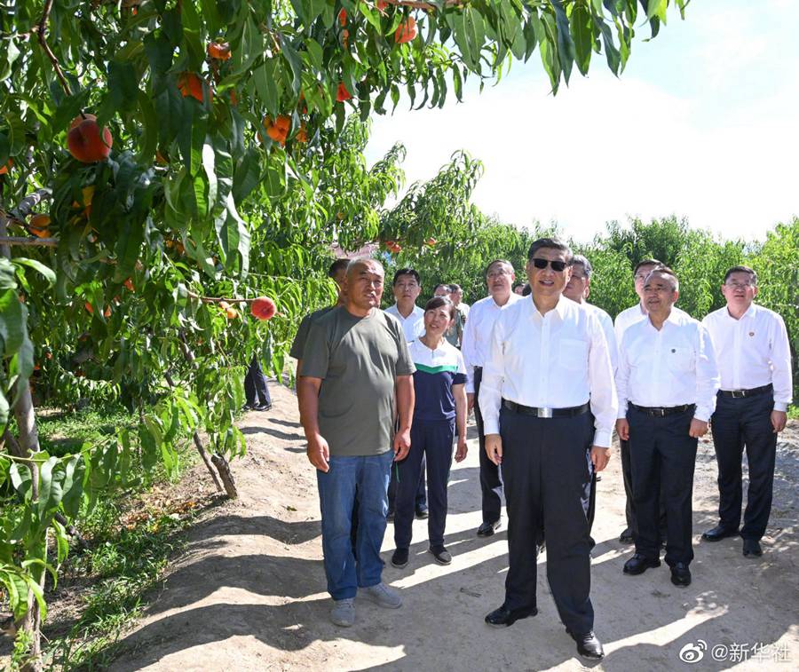 Xi Jinping visita la città di Shihezi in Xinjiang