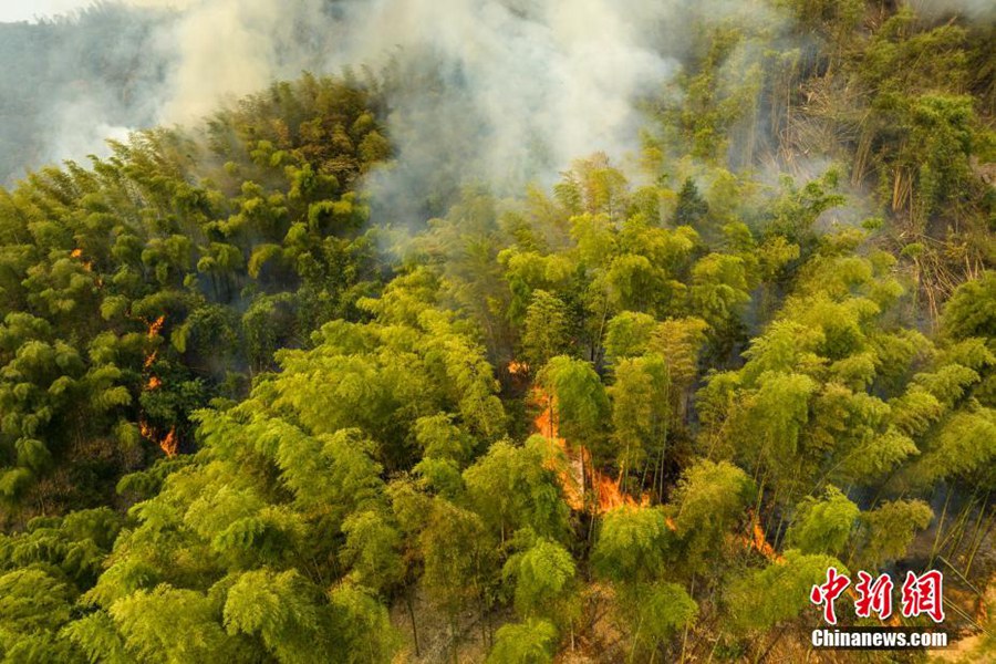 Sichuan: in corso il lavoro di spegnimento degli incendi boschivi