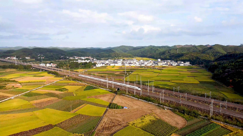 Nanning, Guangxi: le industrie caratteristiche potenziano la rivitalizzazione rurale