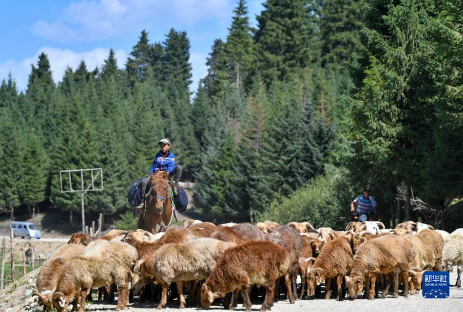 Xinjiang: costruiti 62.200 chilometri di nuove strade in dieci anni