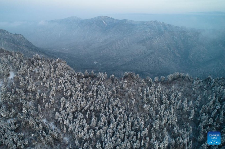 La contea di Ningshan si impegna per la protezione ecologica e lo sviluppo verde