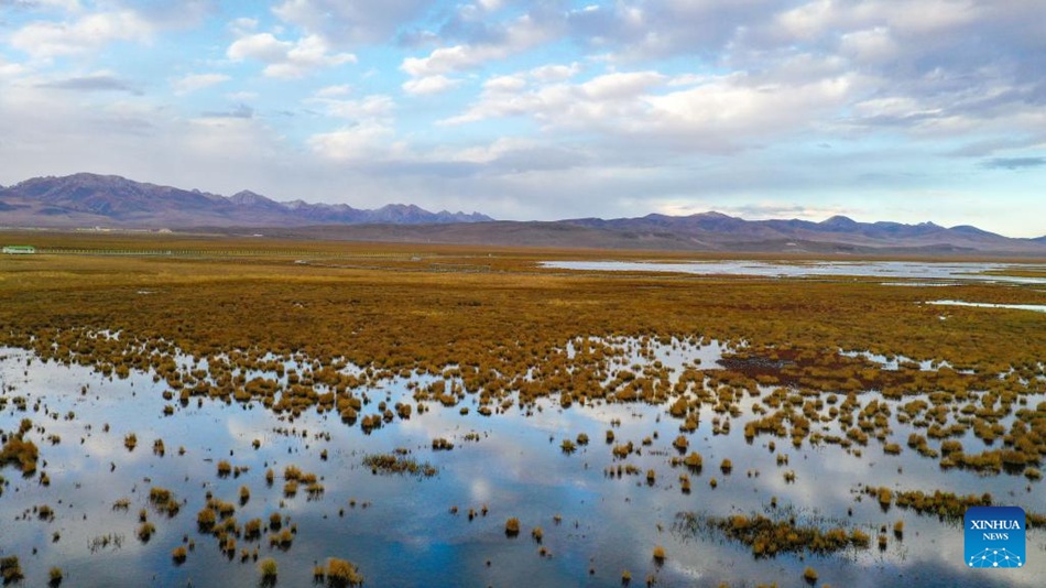 Prefettura autonoma della Cina sudoccidentale vede un ambiente ecologico migliore nelle zone umide