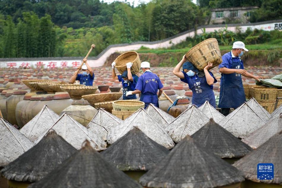 Cina sudoccidentale: aceto Chishui acquisisce nuova vita con il tradizionale processo di produzione 