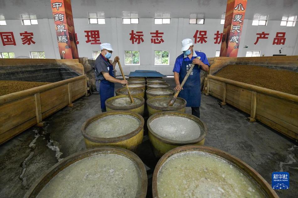 Cina sudoccidentale: aceto Chishui acquisisce nuova vita con il tradizionale processo di produzione 