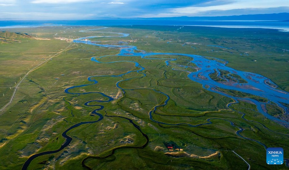 Lago Qinghai, rifugio ecologico