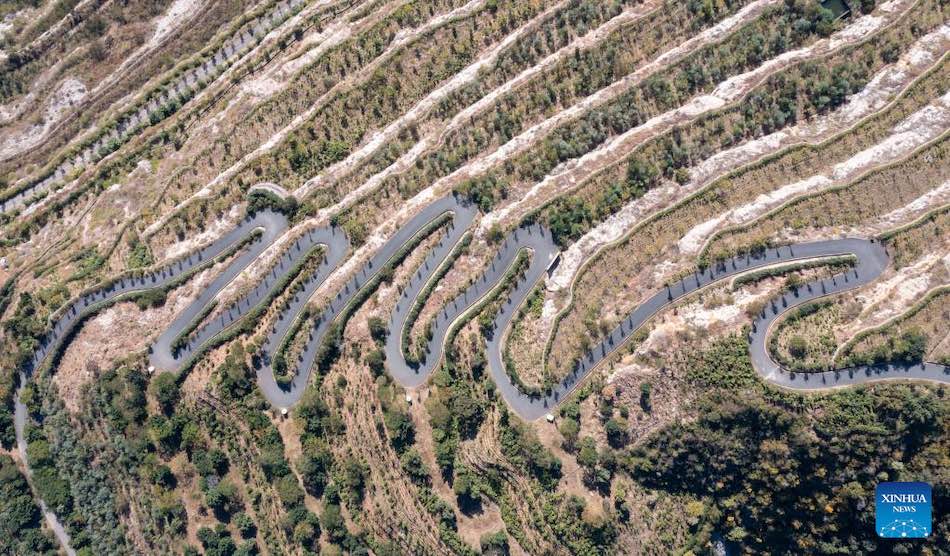 Sichuan: le montagne spoglie tornano verdi grazie al ripristino ecologico