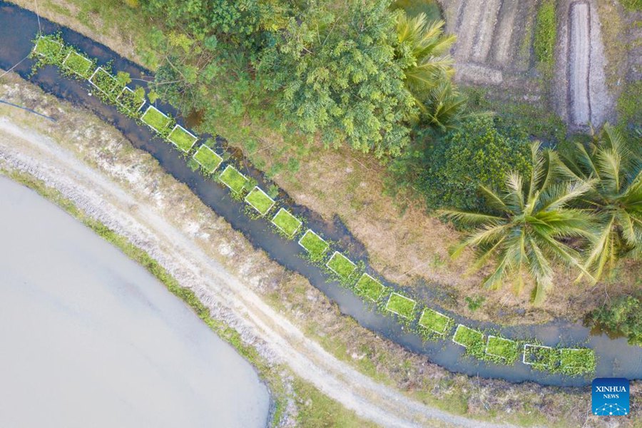 Vista aerea delle isole galleggianti artificiali installate su un affluente del fiume Wenjiao a Wenchang. (25 dicembre 2022 - Xinhua/Pu Xiaoxu)