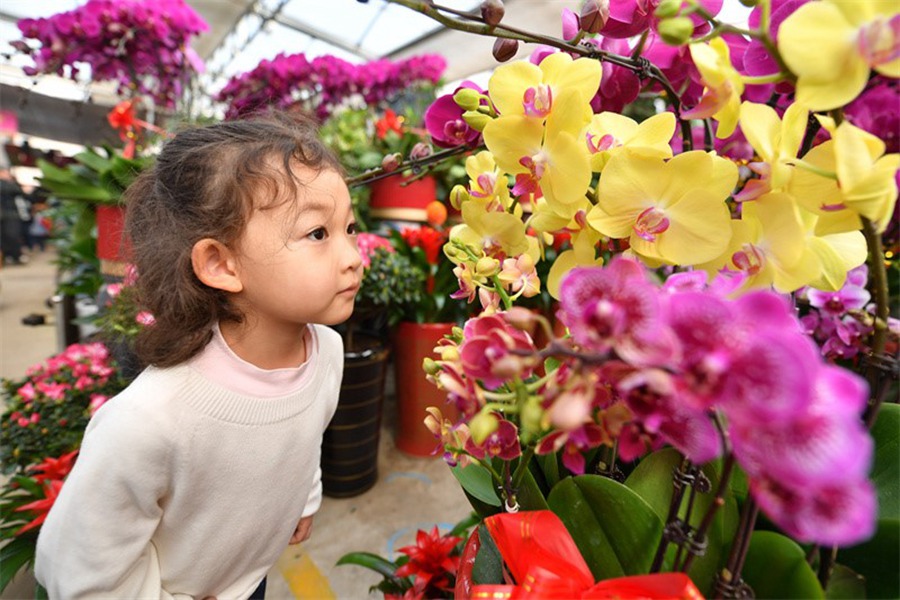 Atmosfera della Festa di Primavera sempre più intensa in tutta la Cina