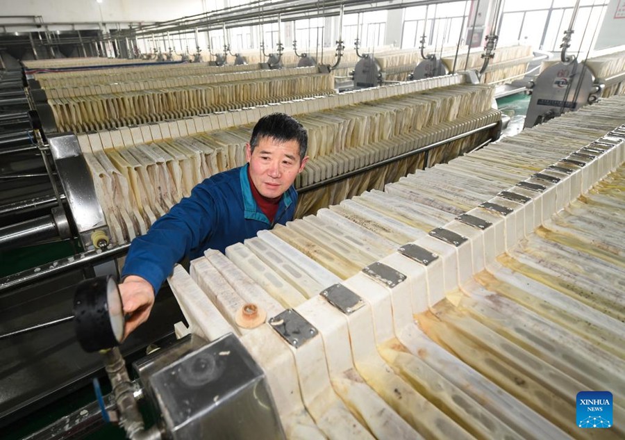 Shaoxing: vino di riso prodotto con metodo di fermentazione tradizionale