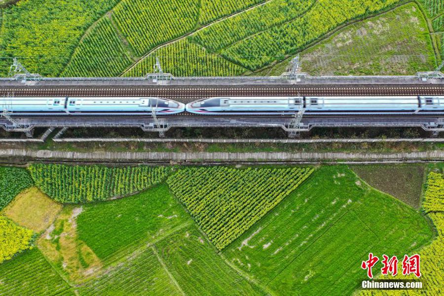 Guizhou: i treni attraversano i campi di colza