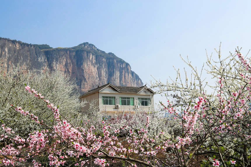 Guizhou: la campagna in fiore come un dipinto primaverile