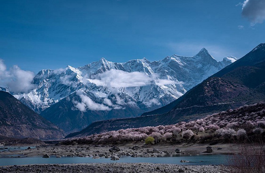 Tibet: i fiori di pesco sbocciano con l'arrivo della primavera