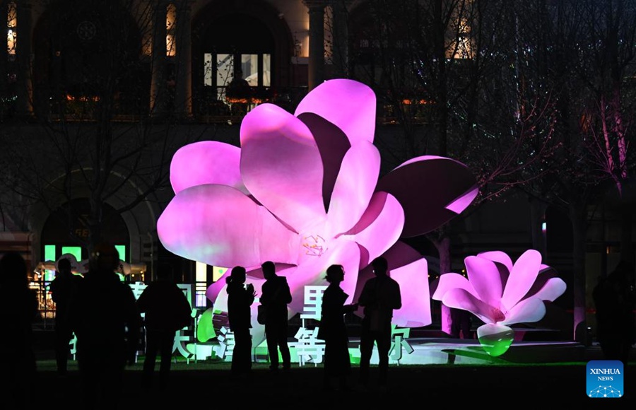 Tianjin: la fioritura di begonie stimola il turismo