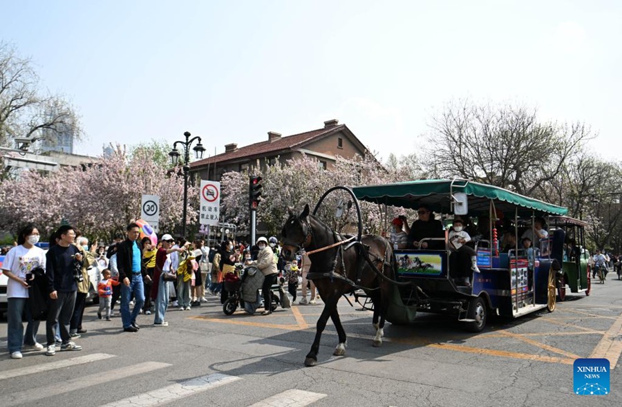 I turisti prendono una carrozza mentre visitano il centro storico di Wudadao, o i Cinque Grandi Viali di Tianjin nel nord della Cina. (1 aprile 2023 – Xinhua/Zhao Zishuo)