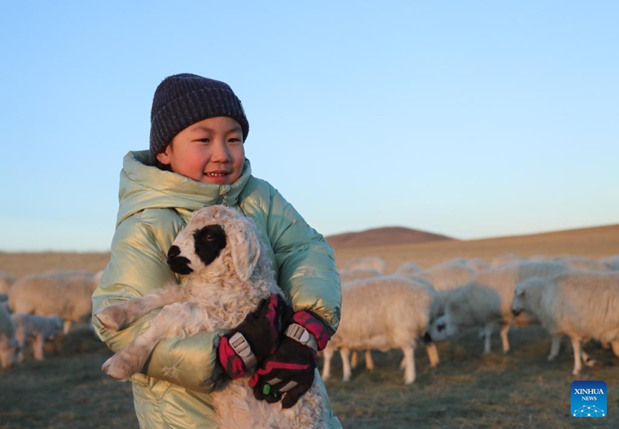 Mongolia Interna: la stagione più impegnata del mandriano