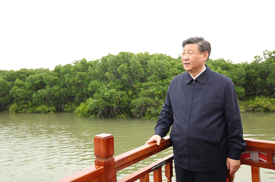 Viaggio d'ispezione di Xi Jinping nel Guangdong