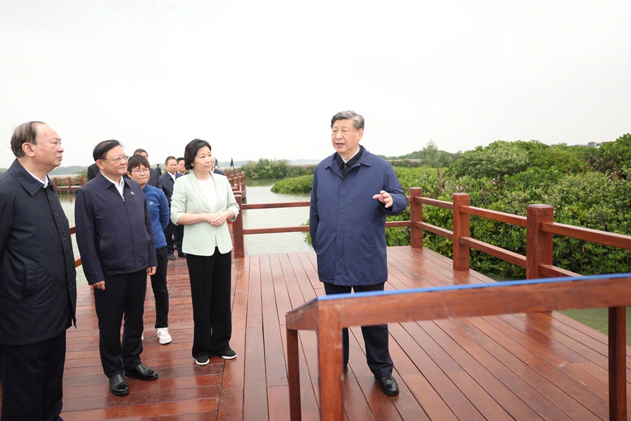 Viaggio d'ispezione di Xi Jinping nel Guangdong